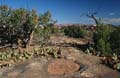 canyonlands np - the needles - utah 010